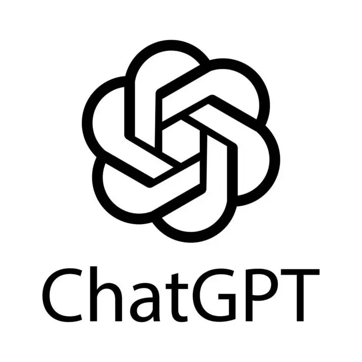 Chat GPT plus (3 months)