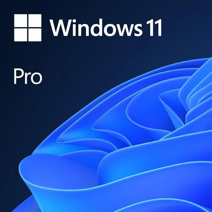 Windows 11 Pro 1PC Lifetime License Key