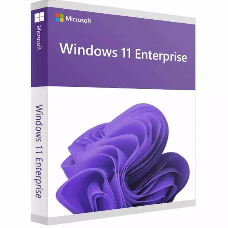 Windows Enterprise 1PC Lifetime License Key (10/11)