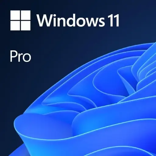 Windows 11 Pro 1PC Lifetime License Key